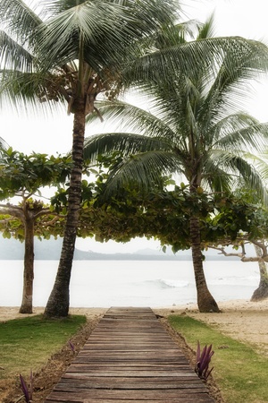 Path to the seaの写真素材
