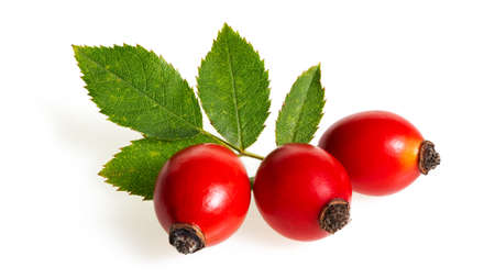 Rosehip red berries with green leaf isolated on white background. Studio shot of healthy herbal food with nutrients and vitamin c cut out on blank. Fruit with copy space.の写真素材