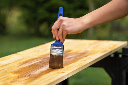 Hand with paintbrush painting a wooden board in garden. Person applying a protection oil on woody...