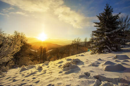 Sun rising above hills covered with snow in winter nature. Wide angle scenery of freezing white environment with trees and blue skies. Golden hour in wilderness.の写真素材