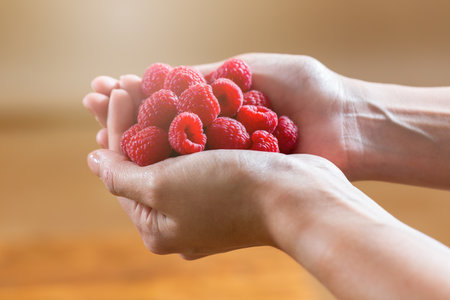 Ripe red raspberries inside two woman hands in horizontal composition. Raw juicy fruit rich with...