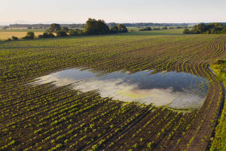 Rural scene with a flooded field in summer nature from drone.の写真素材