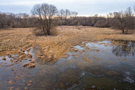 Aerial view of a wetland with frozen water in winterの写真素材