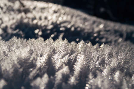Backlit ice crystal on the snow in winter nature backlit by evening sunの写真素材
