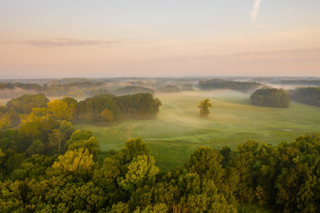 Riparian forest with morning mists from aerial perspectiveの写真素材