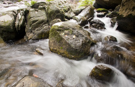 Stream