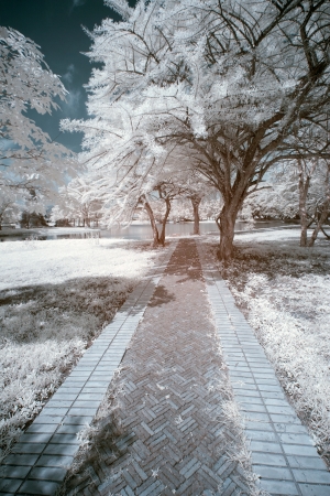 Places Of Worship in near infrared ,Thailand の写真素材
