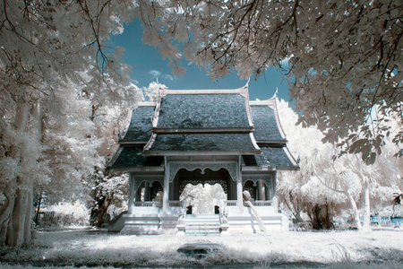 Thailand taken in Near Infrared  Stock Photo