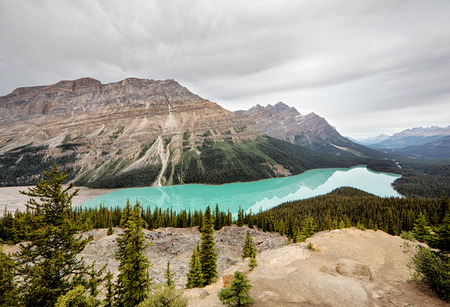 peyto lake canadaの写真素材