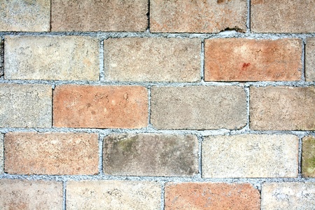 The cement wall on the dirt and moss
