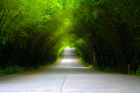 The streets are filled with bamboo sidesの写真素材