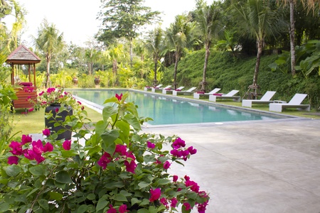 Swimming pool and  bed for sunbatheのeditorial素材