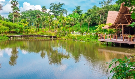 Pool surrounded by gardens and trees