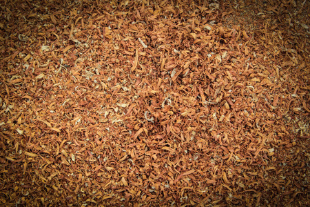 Sandstone texture backgroundの写真素材