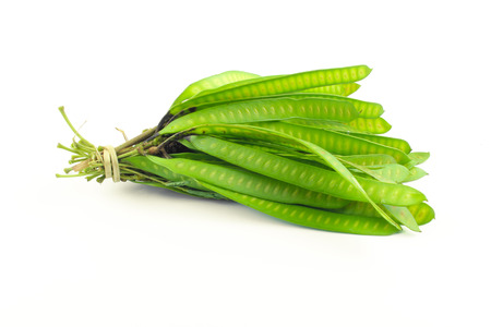Green Seed White Popinac, Lead tree or Wild Tamarind isolated on white backgroundの写真素材