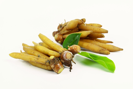 finger root Ingredients for Thai Cuisine on white background