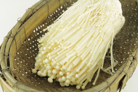 fresh white enoki mushroom, Golden needle mushroomの写真素材