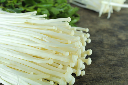 fresh white enoki mushroom, Golden needle mushroomの写真素材