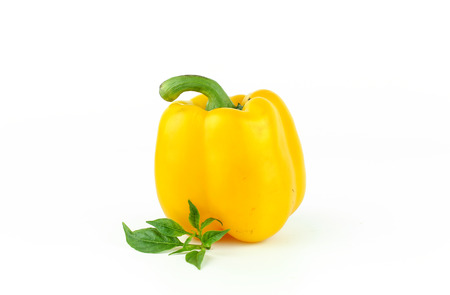 fresh bell pepper or capsicum, sweet pepperの写真素材