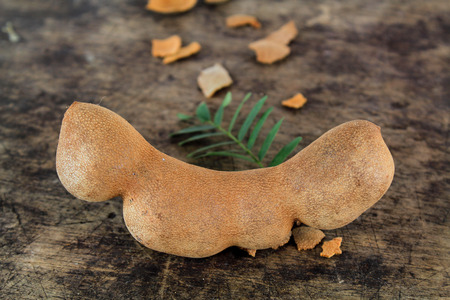 fresh sweet ripe tamarind with leaf, healthy fruitの写真素材
