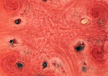 red watermelon whole and slice on plate with mint leafの写真素材