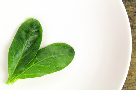 fresh spinach, high protein and amino acidsの写真素材