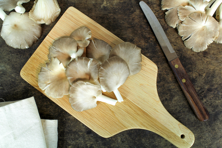 Indian Oyster, Phoenix Mushroom, Lung Oyster on wooden backgroundの写真素材