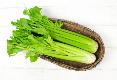 Fresh green celery isolated on white backgroundの写真素材