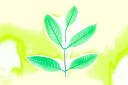 fresh green grass leaves on yellow backgroundの写真素材