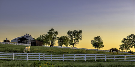 Kentucky farm at sunriseの写真素材