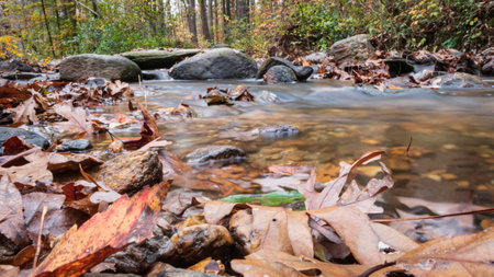 Low angle view of Cheaha creek captured with long exposure with fallen autumn leaves in the foreground.の写真素材