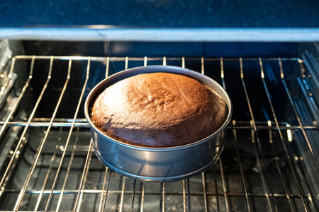 Chocolate cake in a springform pan baking in the center rack of an oven.の写真素材