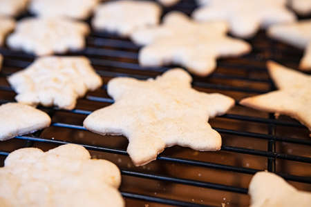 Shallow focus on undecorated sugar cookies cooking on a metal rack.