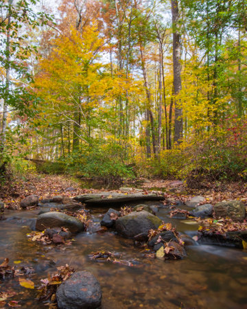 Nature background of a Long exposure shot of a rocky creek in the forest in full autumn foliage.の写真素材