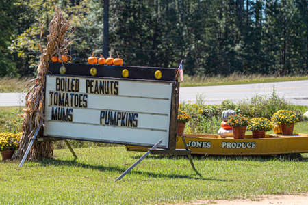 Georgiana, Alabama, USA - Sept. 24, 2021: Roadside sign for Jones Produce stand near the Interstate in Georgiana decked out for autumn with many assorted types of pumpkins, mums and other decor and fresh produce.のeditorial素材