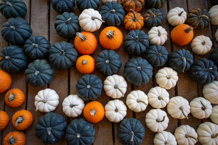 Fall wallpaper background of assorted mini pumpkins on a wooden pallet, shot from above.の写真素材