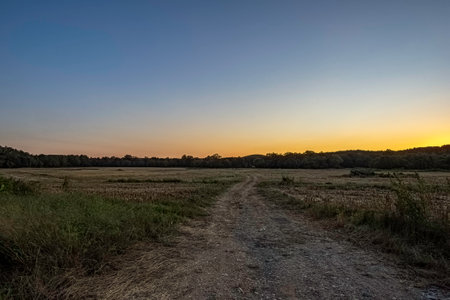 Dirt path leading into a recently harvested corn field at sunset with negative space.の写真素材