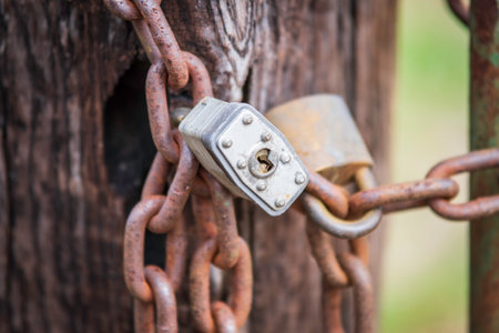 Two locks on an old rusty chain, securing a cattle gate, with selective focus on one lock.の写真素材
