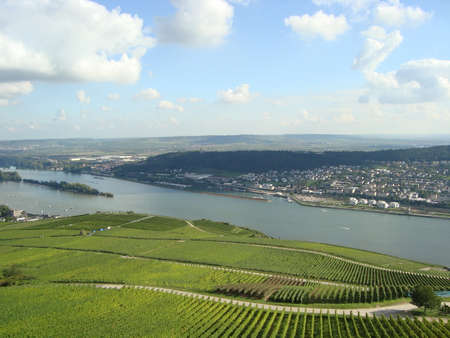 Vine fields of R?desheim