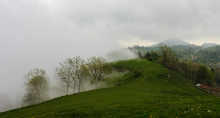 Foggy countryside landscape in aprilの写真素材