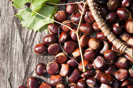 Wicker basket of fresh chestnuts on a wooden table, rustic setting, green leaves in the backgroundの写真素材