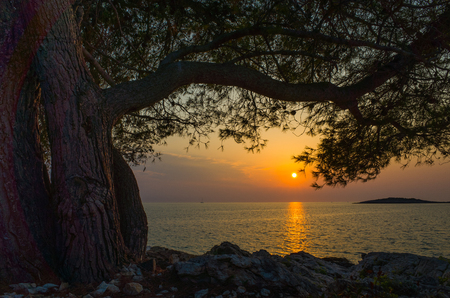 Croatia Seascapeの写真素材