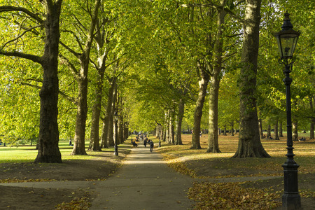 Green Park London Great Britain, October 16 2017 . People walking in the park, Beautiful autumn day.のeditorial素材