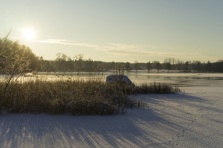Beautiful nature and landscape photo of cold winter evening in Sweden Scandinavia. Nice outdoor image with forest, trees and ice lake. Calm, peaceful and happy background pictureの写真素材