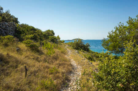 Beautiful nature and landscape photo of sunny summer day at Adriatic Sea in Dalmatia, Croatia, Europe. Nice outdoors at Mediterranean coast. Calm, peaceful and happy picture.の写真素材
