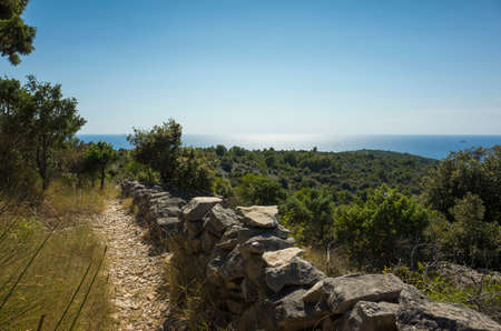 Beautiful nature and landscape photo of sunny summer day at Adriatic Sea in Dalmatia, Croatia, Europe. Nice outdoors at Mediterranean coast. Calm, peaceful and happy picture.の写真素材