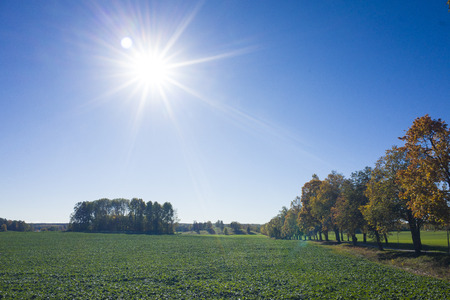 Beautiful autumn day in Sweden Scandinavia. Sun, fields and blue sky. Calm, peaceful and happy image.の写真素材