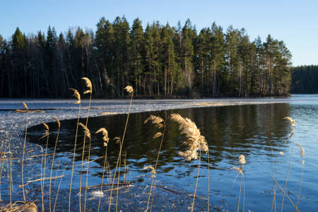 Sunny spring day at ice lake in Katrineholm Sweden. Beautiful scandinavian nature and landscape. Calm, peaceful photo.の写真素材