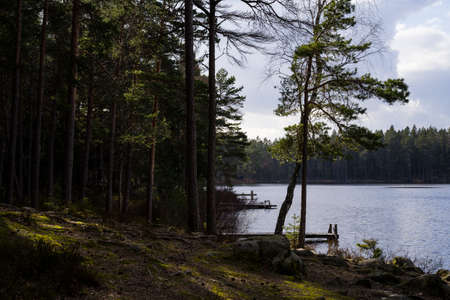 Lake, forest and bridge at spring evening in Katrineholm Sweden. Beautiful scandinavian nature and landscape. Calm, peaceful photo.の写真素材