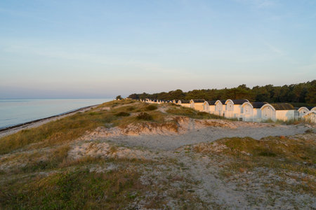 Falsterbo, Skane, Sweden - 06 20 2021 : Small cabins and houses at the beach on summer morning.のeditorial素材